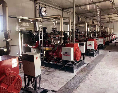�±���ʯ����Ȼ������վ��Ŀ����ɽ����ϵ����10̨200KW��