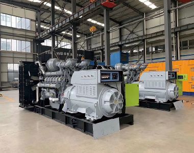 ŷ�޳�����Ŀ������˹����ϵ����2̨1250KW6300V��ѹ�����)