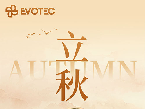 �紵һƬҶ �����Ѿ��� | ����