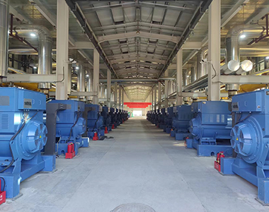 ɽ��24WM��˹����վ��Ŀ��24̨1000KW/10.5KV��ѹ�������